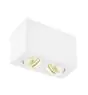 SLV Triledo Double Plafonnier Aluminium Blanc 14W 1300lm 38D - 830 Blanc Chaud