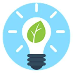 icone economies